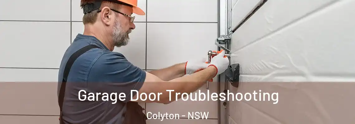 Garage Door Troubleshooting Colyton - NSW