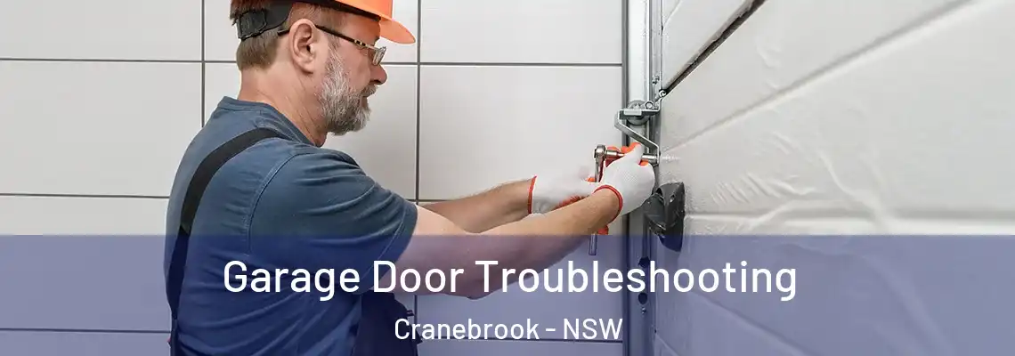 Garage Door Troubleshooting Cranebrook - NSW