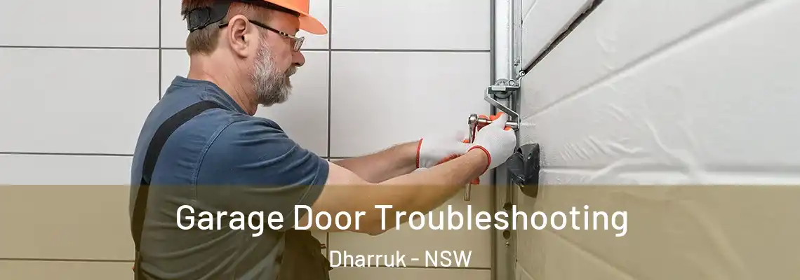 Garage Door Troubleshooting Dharruk - NSW