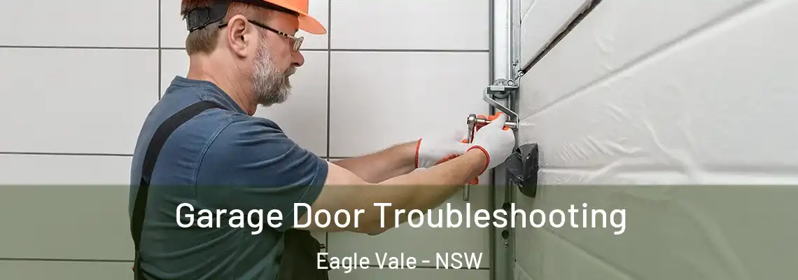 Garage Door Troubleshooting Eagle Vale - NSW