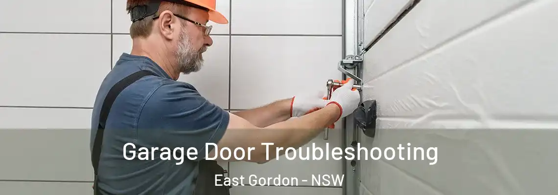 Garage Door Troubleshooting East Gordon - NSW