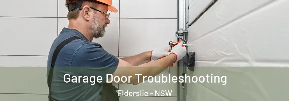  Garage Door Troubleshooting Elderslie - NSW