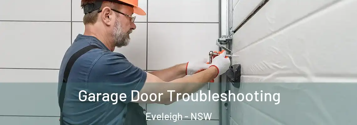 Garage Door Troubleshooting Eveleigh - NSW