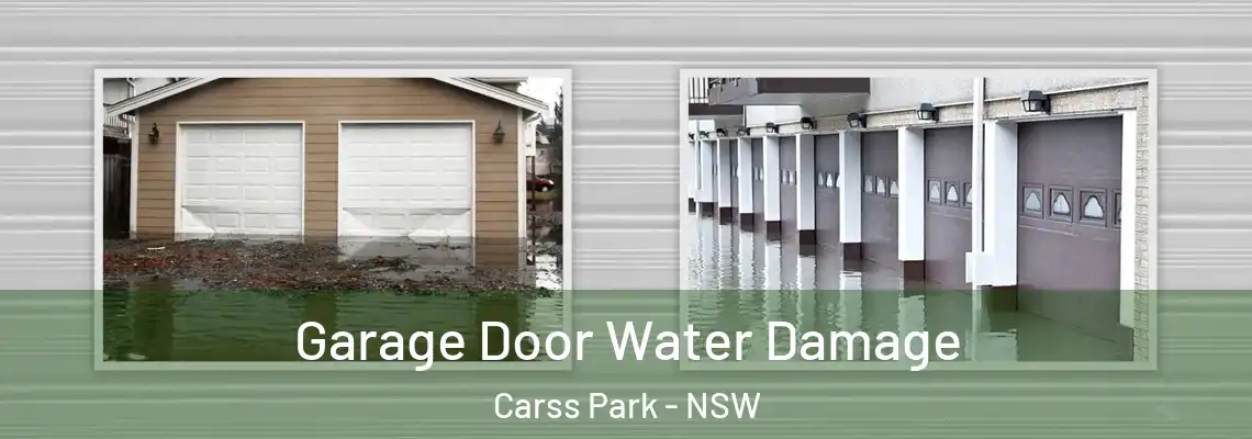 Garage Door Water Damage Carss Park - NSW
