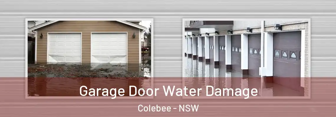 Garage Door Water Damage Colebee - NSW