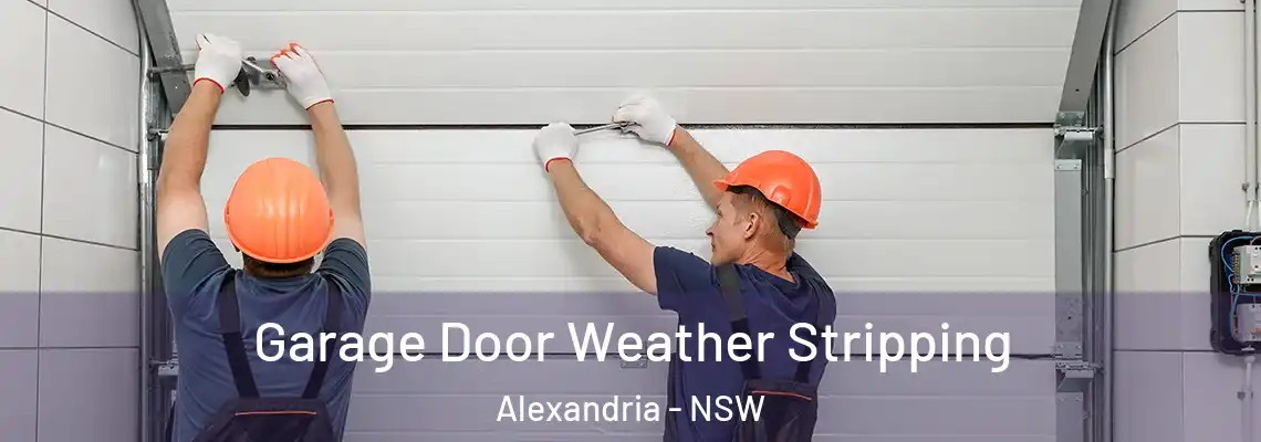 Garage Door Weather Stripping Alexandria - NSW