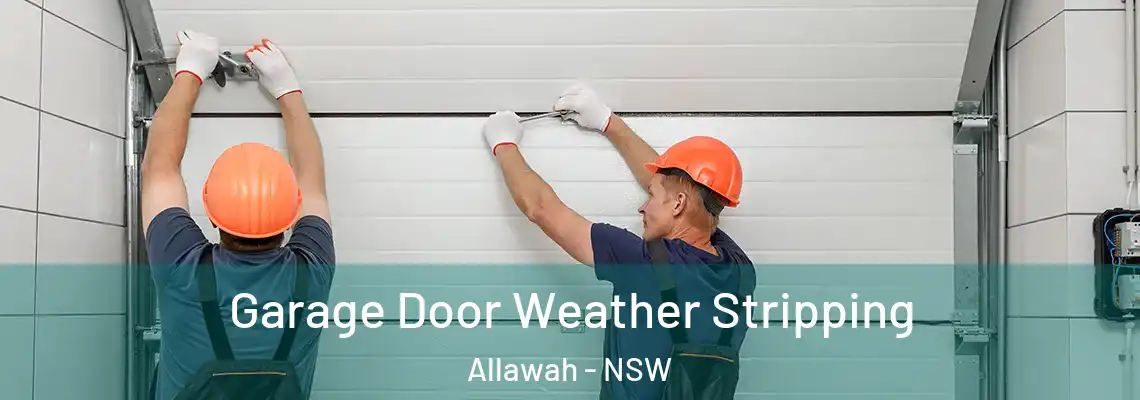 Garage Door Weather Stripping Allawah - NSW