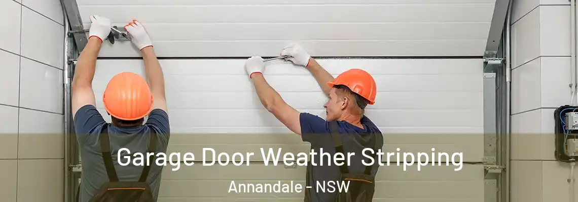 Garage Door Weather Stripping Annandale - NSW