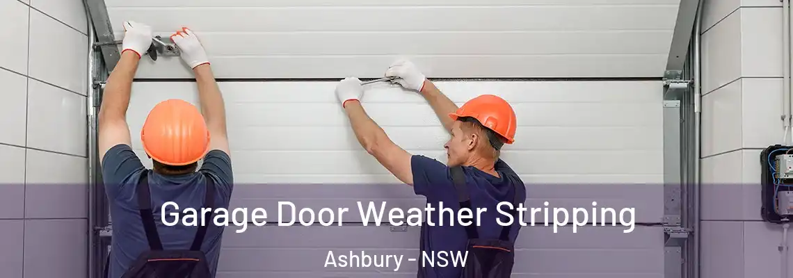 Garage Door Weather Stripping Ashbury - NSW