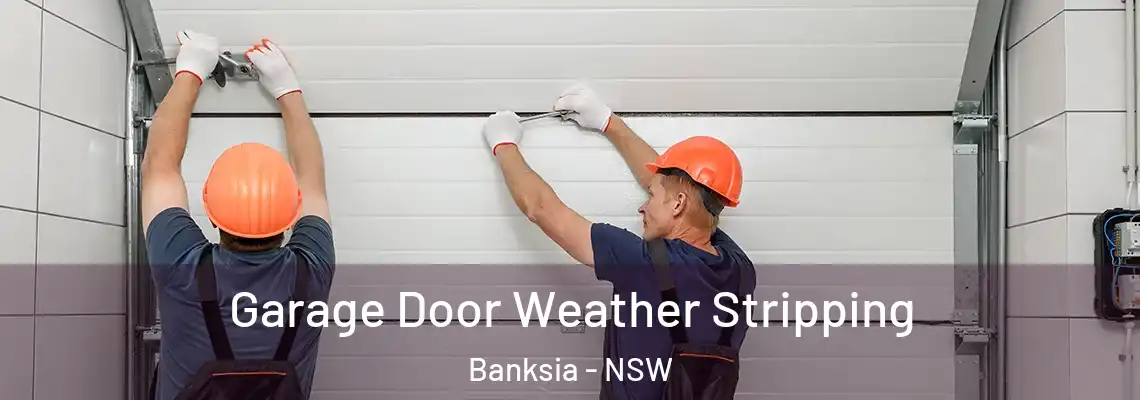 Garage Door Weather Stripping Banksia - NSW