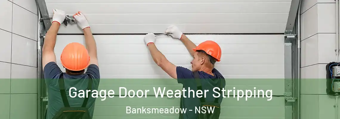 Garage Door Weather Stripping Banksmeadow - NSW