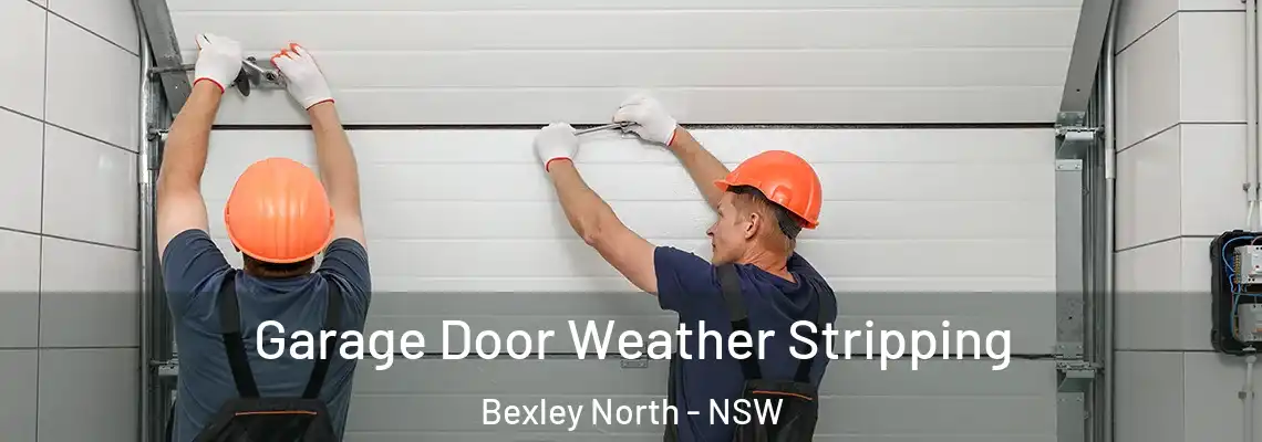 Garage Door Weather Stripping Bexley North - NSW