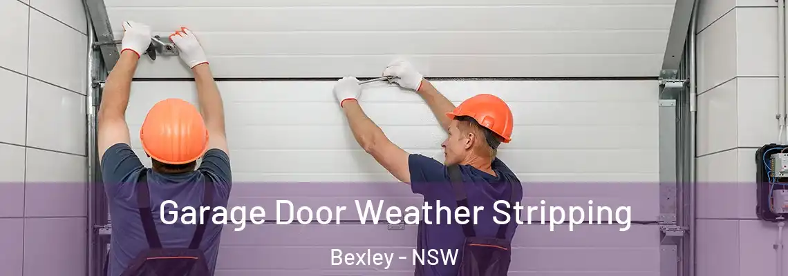 Garage Door Weather Stripping Bexley - NSW
