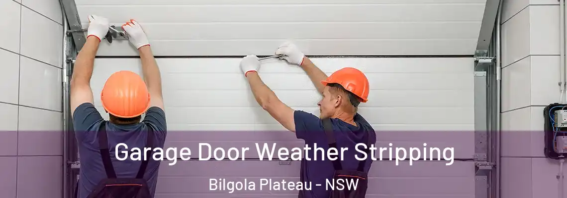 Garage Door Weather Stripping Bilgola Plateau - NSW