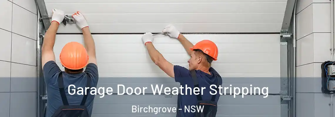 Garage Door Weather Stripping Birchgrove - NSW