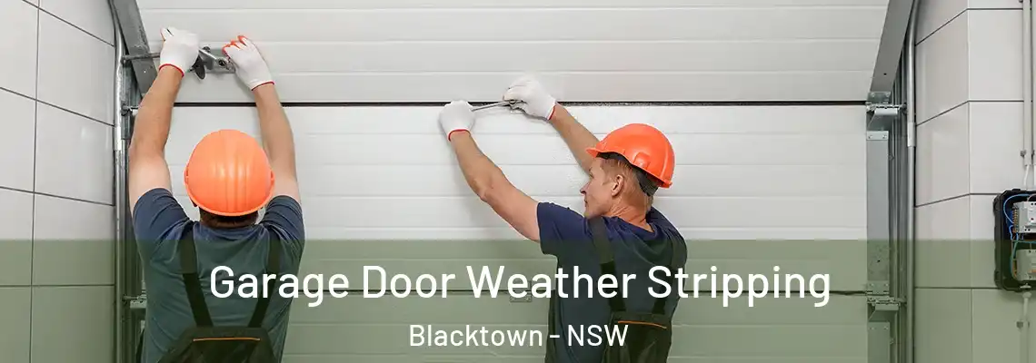 Garage Door Weather Stripping Blacktown - NSW