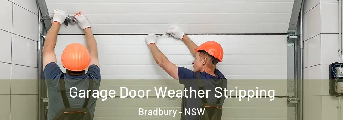 Garage Door Weather Stripping Bradbury - NSW