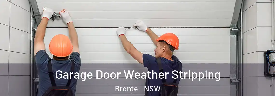 Garage Door Weather Stripping Bronte - NSW
