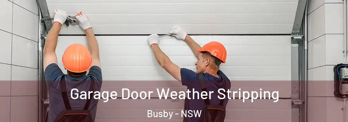 Garage Door Weather Stripping Busby - NSW