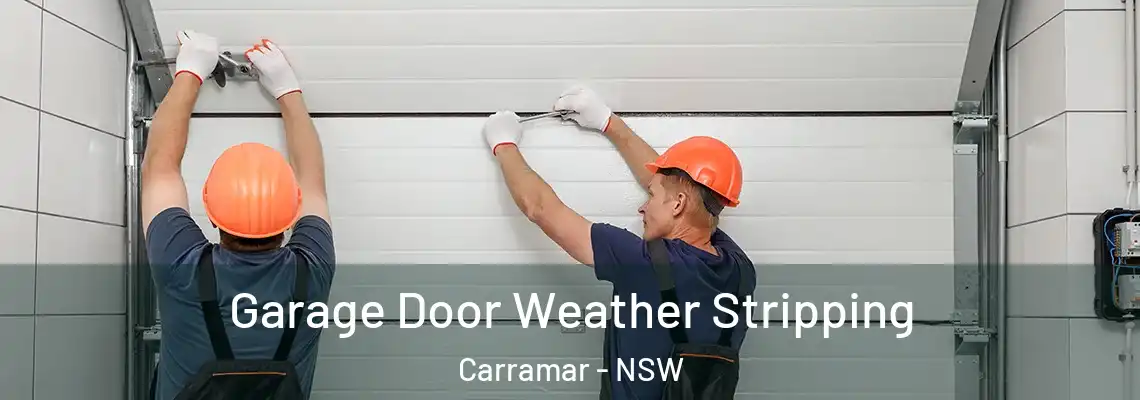 Garage Door Weather Stripping Carramar - NSW