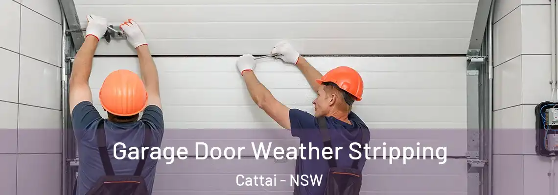 Garage Door Weather Stripping Cattai - NSW