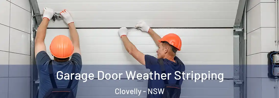Garage Door Weather Stripping Clovelly - NSW