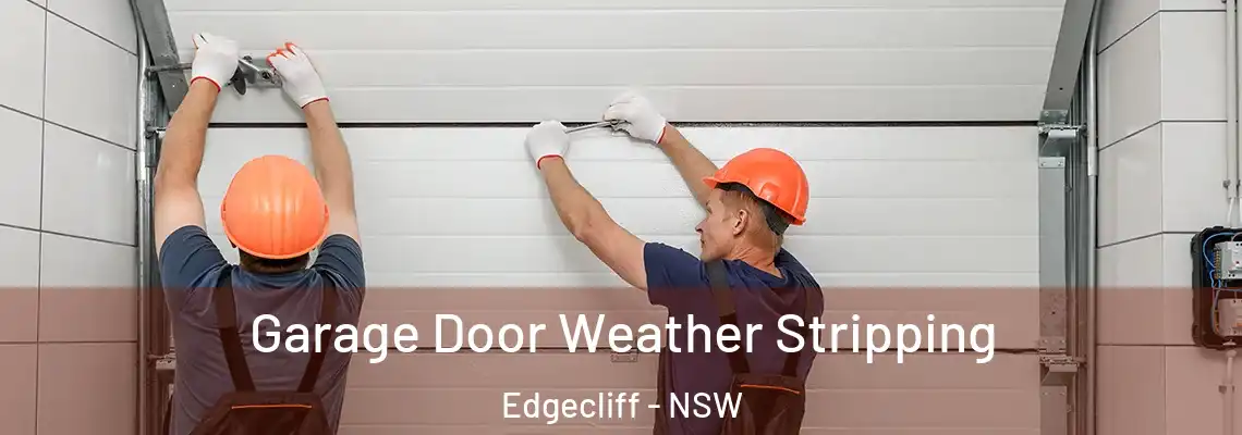Garage Door Weather Stripping Edgecliff - NSW