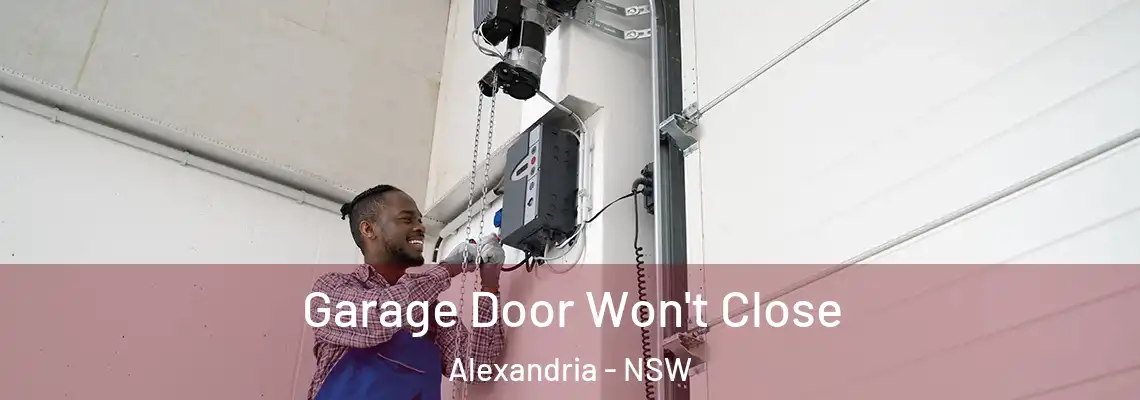Garage Door Won't Close Alexandria - NSW