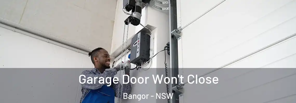Garage Door Won't Close Bangor - NSW