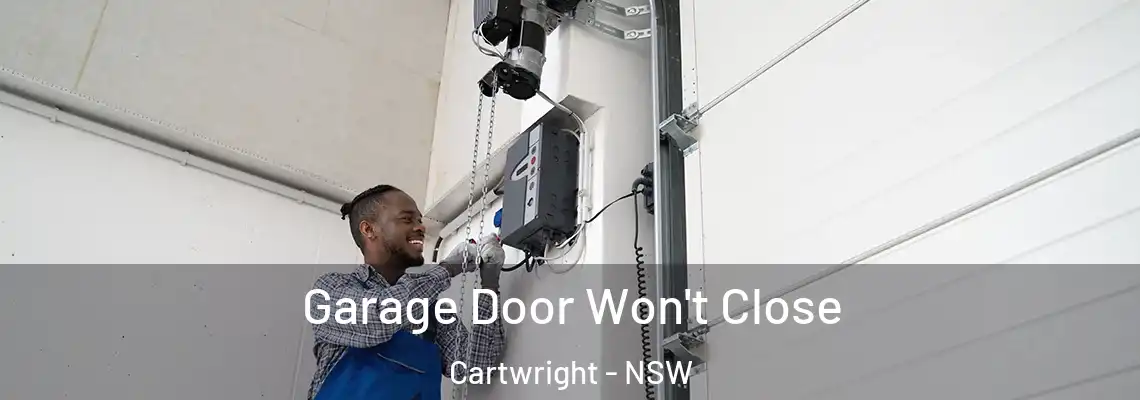 Garage Door Won't Close Cartwright - NSW