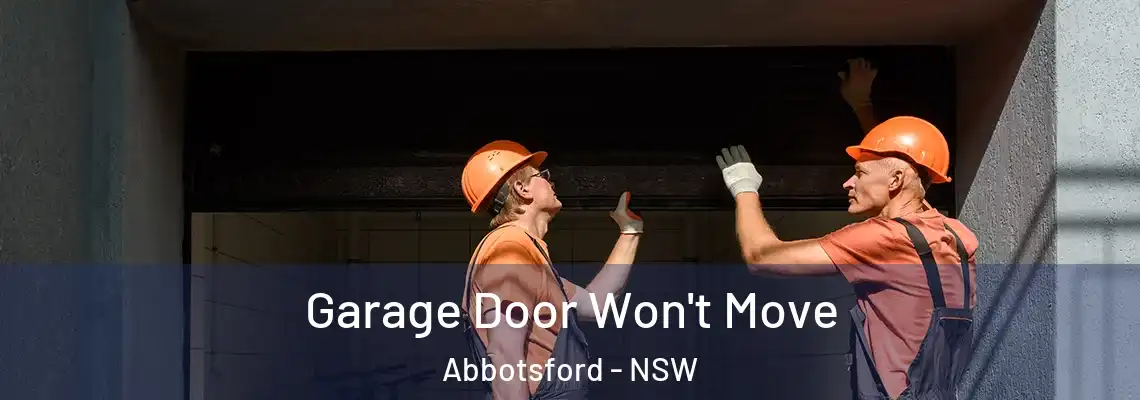 Garage Door Won't Move Abbotsford - NSW