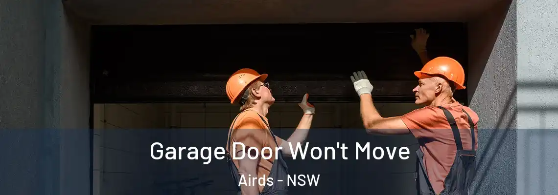 Garage Door Won't Move Airds - NSW