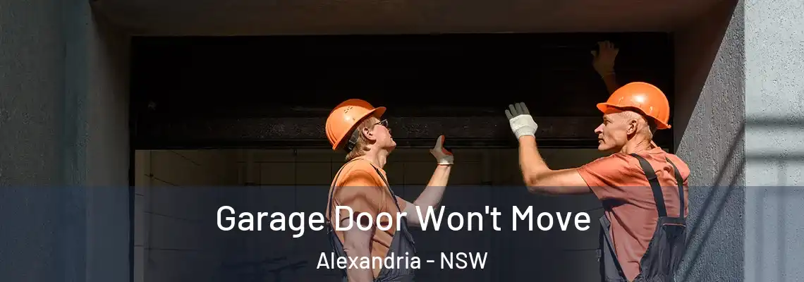 Garage Door Won't Move Alexandria - NSW