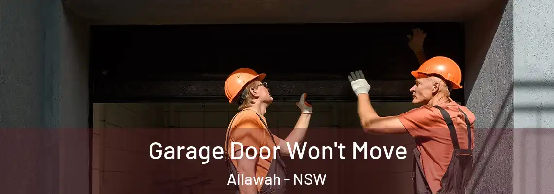 Garage Door Won't Move Allawah - NSW