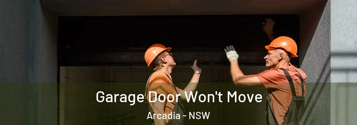 Garage Door Won't Move Arcadia - NSW