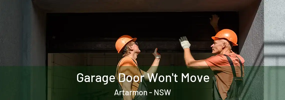  Garage Door Won't Move Artarmon - NSW