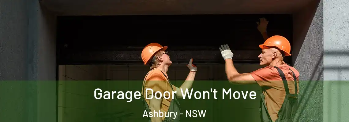 Garage Door Won't Move Ashbury - NSW