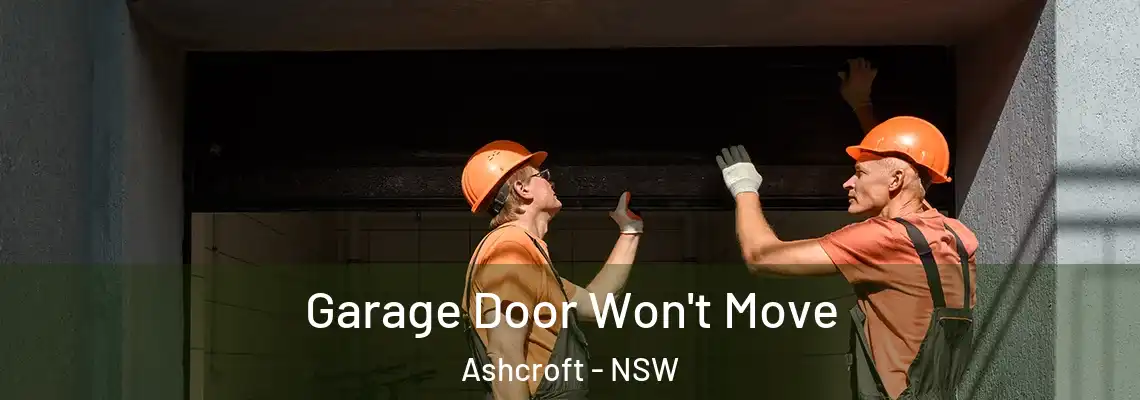 Garage Door Won't Move Ashcroft - NSW