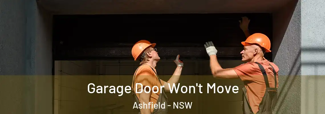 Garage Door Won't Move Ashfield - NSW
