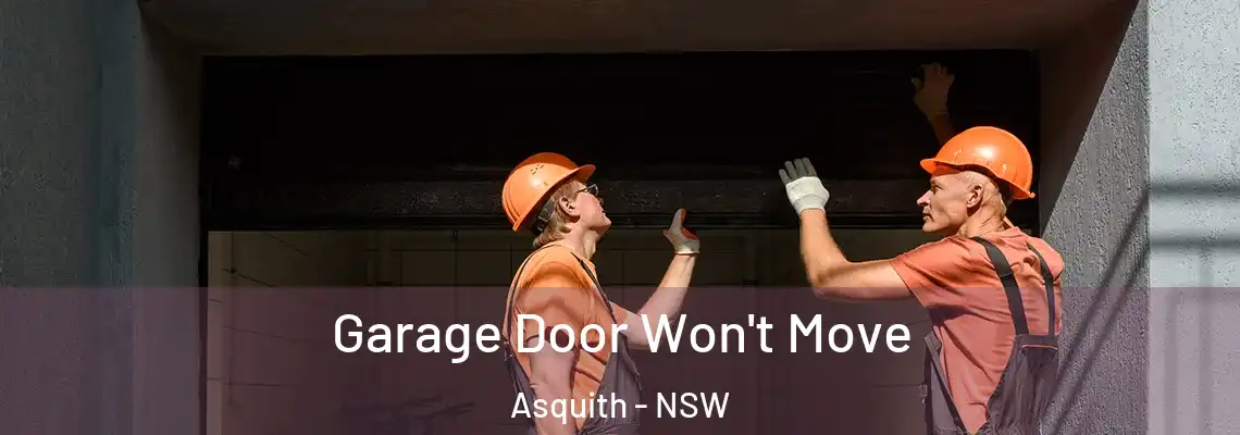 Garage Door Won't Move Asquith - NSW