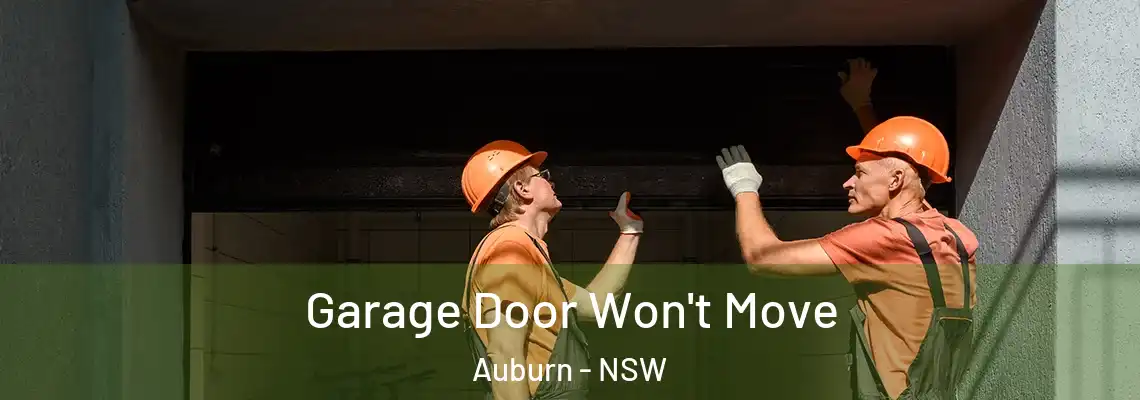 Garage Door Won't Move Auburn - NSW