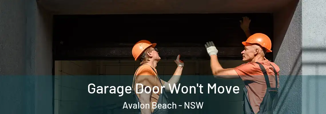 Garage Door Won't Move Avalon Beach - NSW