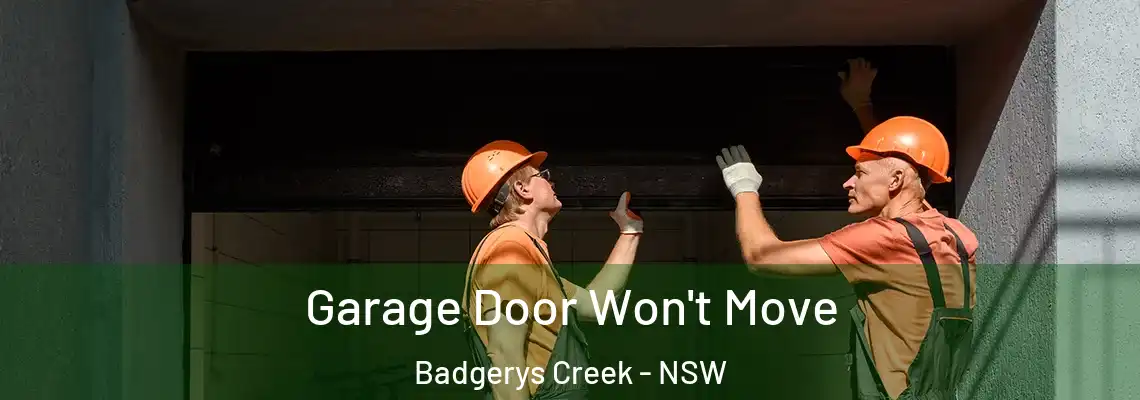  Garage Door Won't Move Badgerys Creek - NSW