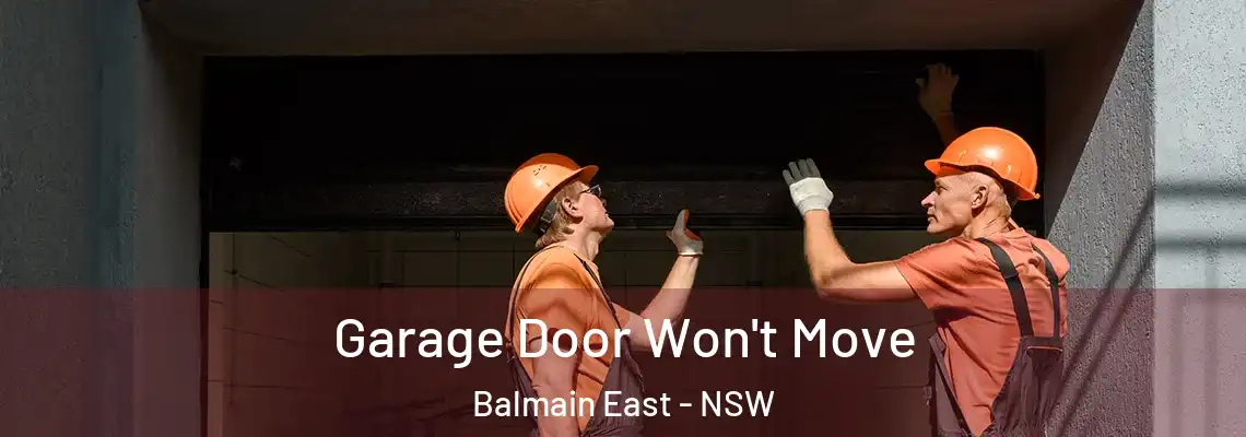 Garage Door Won't Move Balmain East - NSW