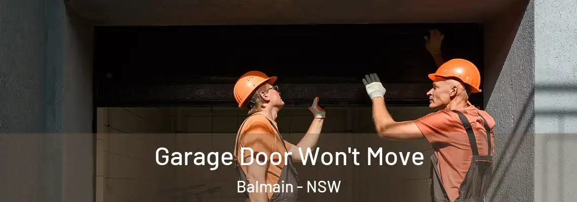Garage Door Won't Move Balmain - NSW