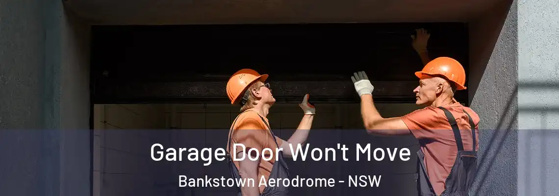 Garage Door Won't Move Bankstown Aerodrome - NSW