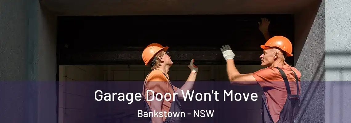 Garage Door Won't Move Bankstown - NSW