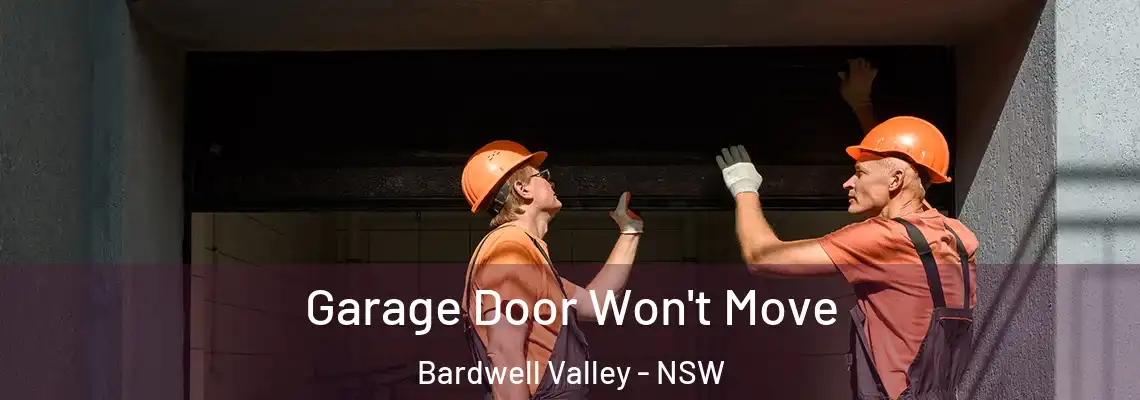 Garage Door Won't Move Bardwell Valley - NSW