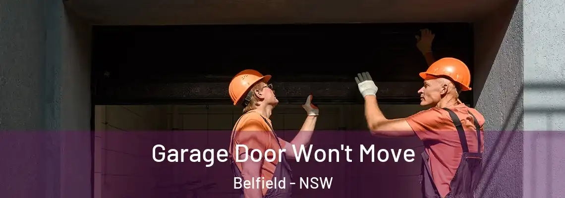 Garage Door Won't Move Belfield - NSW