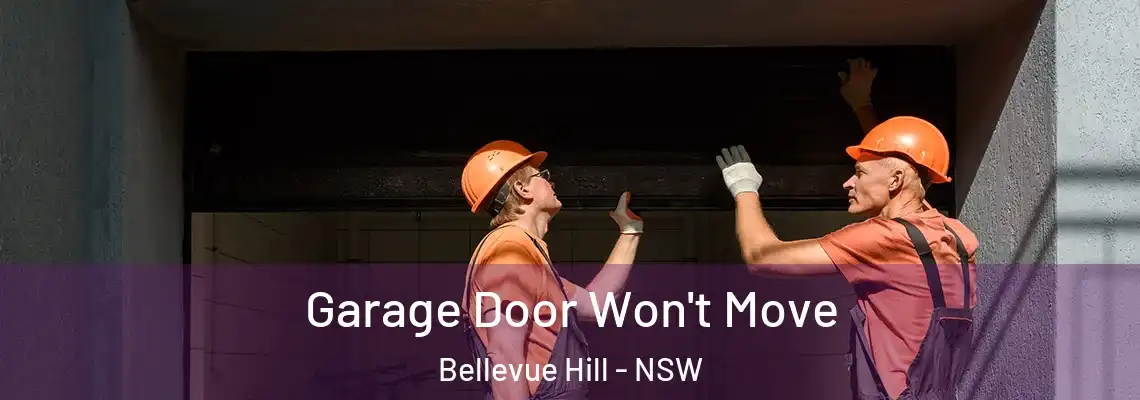 Garage Door Won't Move Bellevue Hill - NSW